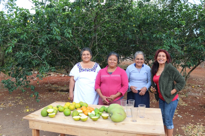 Agroforestry in citrus – Mexico